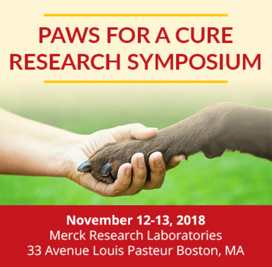 Picture of Paws For A Cure Research Symposium