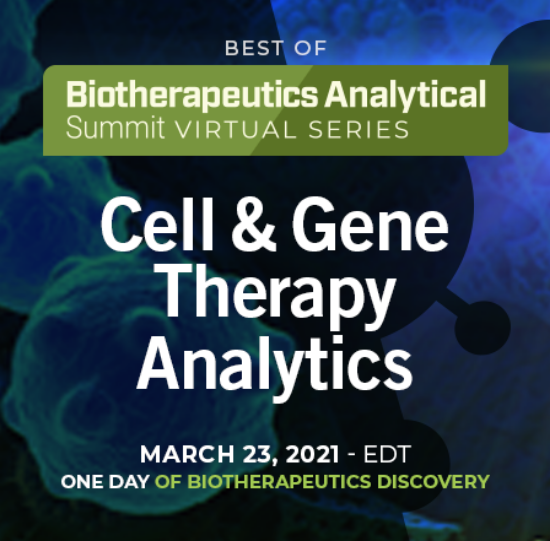 Picture of Biotherapeutics Analytical Summit - 2021